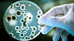 Bacteria: murió un adulto y ya son cinco los muertos en todo el país