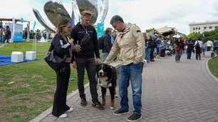 La Ciudad de Buenos Aires impulsa una nueva ley para proteger a perros y gatos