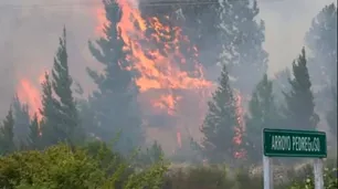 Epuyén declara catástrofe por incendios que ya arrasaron más de 12 mil hectáreas