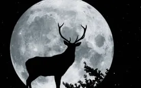Luna llena de julio 2025: cuándo es y por qué se llama Luna Ciervo