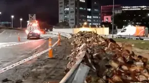 Volcó un camión que transportaba dulces en General Paz y Panamericana: vecinos saquearon la mercadería