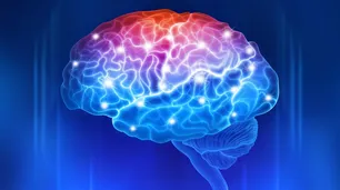 Accidente Cerebro Vascular: causas, prevención e implicancias en el cerebro