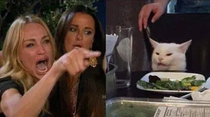 La foto viral de "el gato en la mesa" que desató una ola de memes