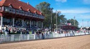 Crisis en el Jockey Club Córdoba: advierten que el hipódromo quedó “a un paso del cierre” y denuncian desinversión