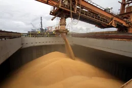 Preocupación en la agroindustria por la demora en los reitegros de IVA