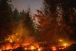 El Gobierno anunció que incluirá en Sesiones Extraordinarias un proyecto para agravar las penas para quienes provoquen incendios