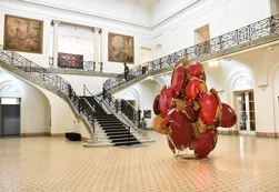 Inauguró en Córdoba la Bienal Internacional de Arte Contemporáneo del Sur