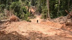 La sequía de los ríos del Amazonas llega al límite