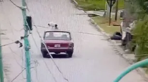 Llevaba a su perro encima del techo del auto, lo criticaron y se justificó: "Es un placer para él"