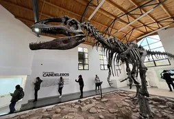 Investigadores descubren que muchos dinosaurios no rugían, sino que emitían sonidos parecidos a pájaros