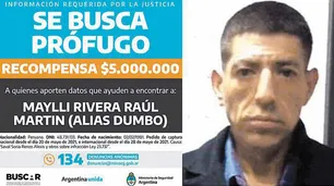 Secuestran cocaína rosa y más drogas en paquetes con el sello de “Dumbo”