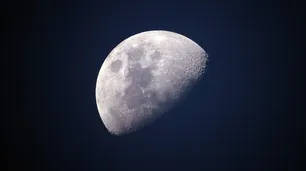 SpaceX vende un boleto a la luna: cómo se ve el viaje espacial