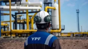 Insólito festejo de un abogado tras conocer la sentencia de YPF: "Entró el fallo y terminé abrazado a mi gato llorando"