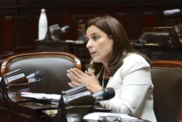 Diputados: radical cordobesa pide agravar las penas para los responsables de incendios intencionales