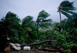 Vivo | El huracán María arrasó todo a su paso en Dominica