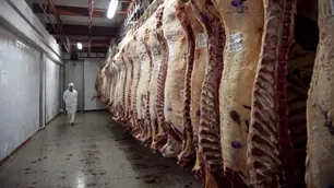 Desde el IPCVA se impulsó un nuevo modelo sin proteína vacuna: “La idea es exportar y no interesa el mercado interno”