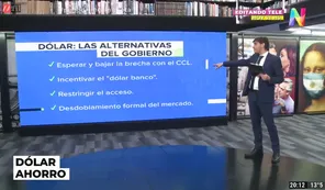 El futuro del dólar ahorro: las alternativas del gobierno