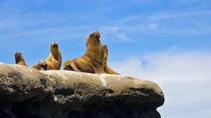 Cinco destinos de naturaleza para estas vacaciones de invierno