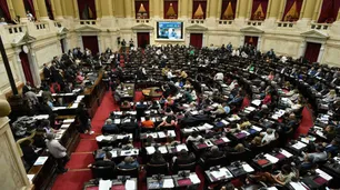 El presidente Milei consigue apoyo en la Cámara de Diputados, si los cambios se hacen "ordenadamente"