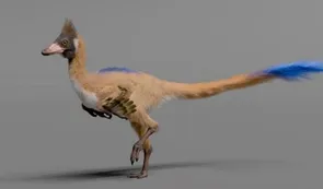 Un diminuto pariente del T. rex descubierto en la Patagonia pone en jaque la teoría de la miniaturización