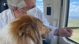 Critican a Alberto Fernández por pasear a Dylan en helicóptero: "Elimine esas fotos, presidente"