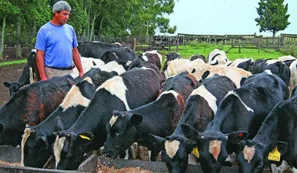 El seguro de desempleo para trabajadores rurales aumentará 48%