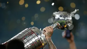 Cuántos millones de dólares puede llegar a ganar el campeón de la Copa Conmebol Libertadores