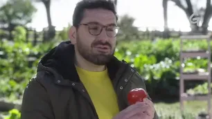 Polémica con Damián Betular por el sabor del tomate producido con agroquímicos
