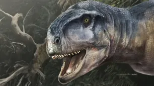 El Llukalkan: identificaron fósiles de una nueva especie de dinosaurio hallados en Neuquén
