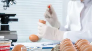 Alarma en Salta ante la suba de casos por salmonella: emitieron alerta epidemiológica