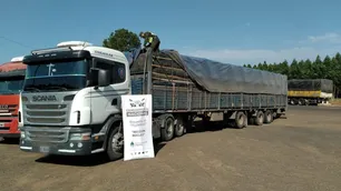 El contrabando de soja a Bolivia y Paraguay genera pérdidas de hasta US$ 400 millones