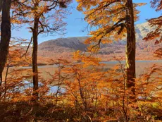 Otoño en Bariloche. Radisson Blu quiere develar el secreto mejor guardado.