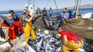 Industria pesquera: ¿De quién es el Mar Argentino?