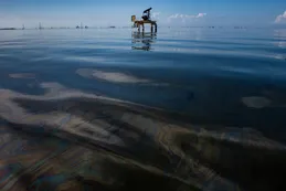PDVSA cedió participación de una petrolera expropiada a los rusos
