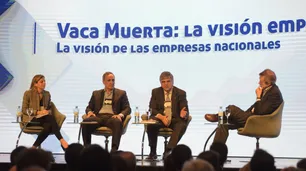Lopetegui: "Generamos 3,5% de déficit fiscal por los subsidios a la energía"