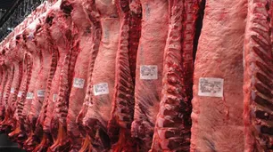 Aranceles de Trump: impacto en el mercado de la carne y oportunidades para Argentina