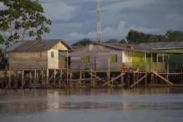 Desaparecidos en la Amazonía: qué se sabe sobre la búsqueda del periodista y el indigenista