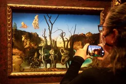 La obsesión de Dalí por Freud convertida en una impresionante exposición en Viena
