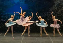 Especialistas advierten por la falta de un equipo médico en el Teatro Colón