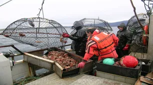 El Gobierno adhirió a un acuerdo internacional clave para evitar la pesca ilegal en el Mar Argentino