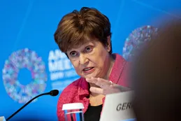 Exfuncionario ante el FMI cree que "el Fondo no quiere gatillar una crisis que se está precipitando sola"