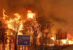 Denuncian que los incendios en el país son por falta de protección de áreas naturales