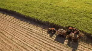 AFIP y ecos del agro: "Celebramos el achique de un Estado elefantiásico" pero con cautela por la “letra chica”