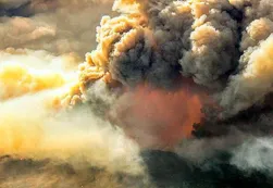 Incendios en Chubut: El fuego arrasó más de 8.500 hectáreas de bosques