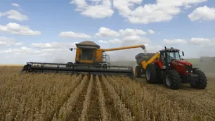 Piden emergencia agropecuaria en varias provincias del país