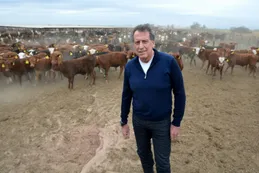 Brito se aleja del Macro y el juez analiza su rol en Ciccone