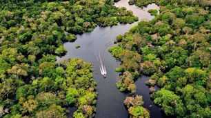 Crece la minería ilegal de cobre en Amazonia