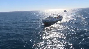 ¿A dónde van los dólares de la Comisión Mixta del Frente Marítimo argentino-uruguayo?