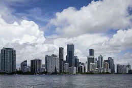 Miami bajo cero: una ola de frío histórica sacude al sur de EE.UU., deja nieve en Florida y revive la “lluvia de iguanas”