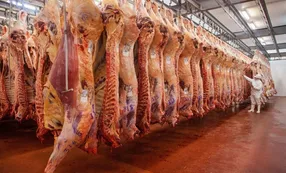 Los frigoríficos deberán informar los valores de la carne cada semana